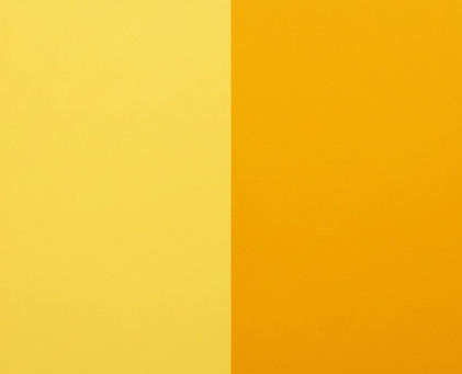Chameleon Yellow